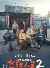 久久天天躁狠狠躁亚洲综合公司